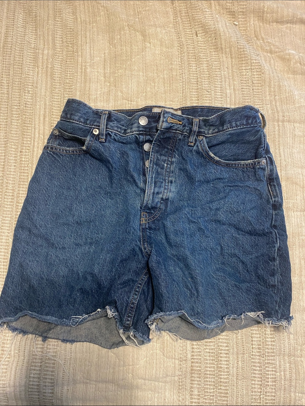 Everlane Dark Blue Denim Cutoff Shorts